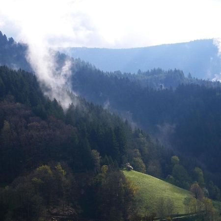 Buehlbauernhof Villa Bad Peterstal-Griesbach Luaran gambar