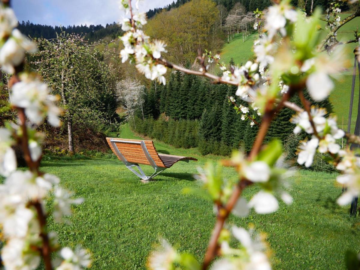 Buehlbauernhof Villa Bad Peterstal-Griesbach Luaran gambar