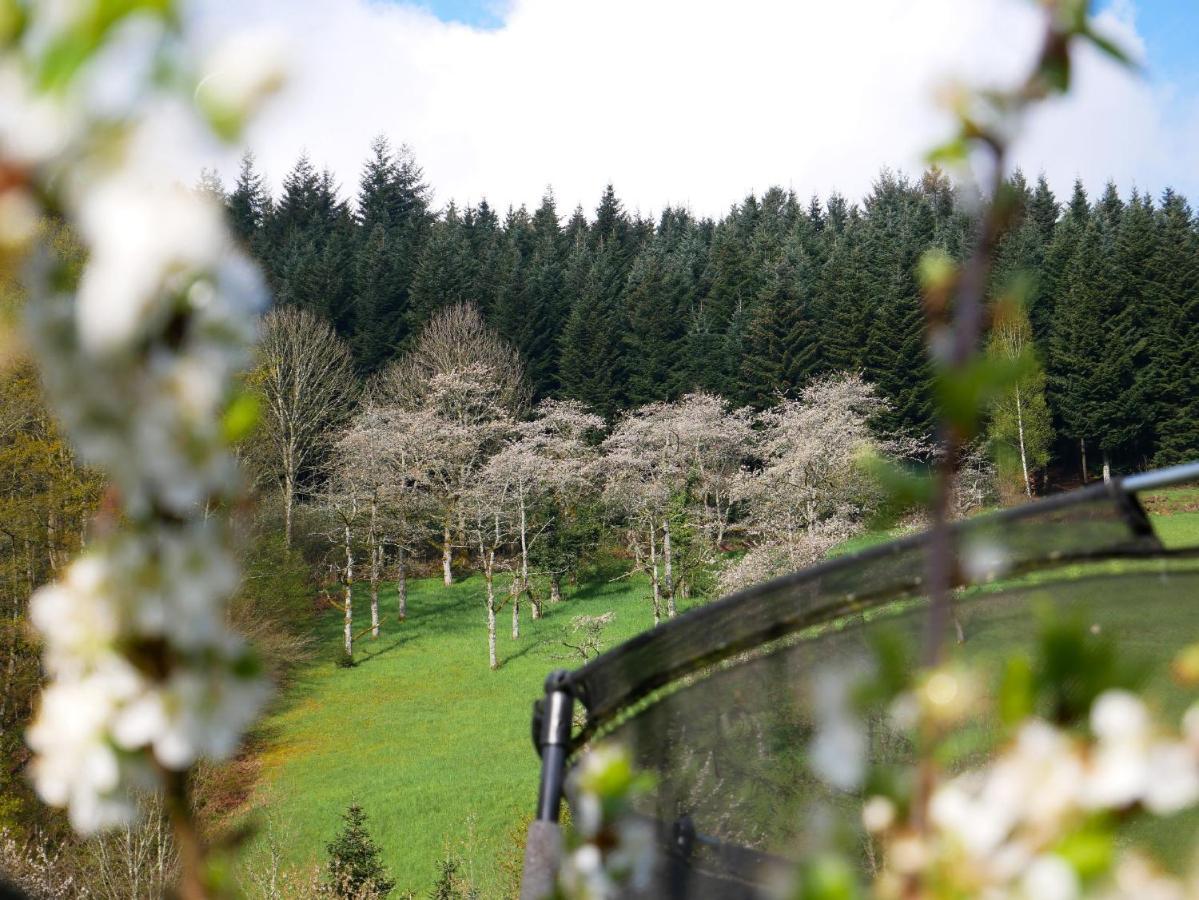 Buehlbauernhof Villa Bad Peterstal-Griesbach Luaran gambar