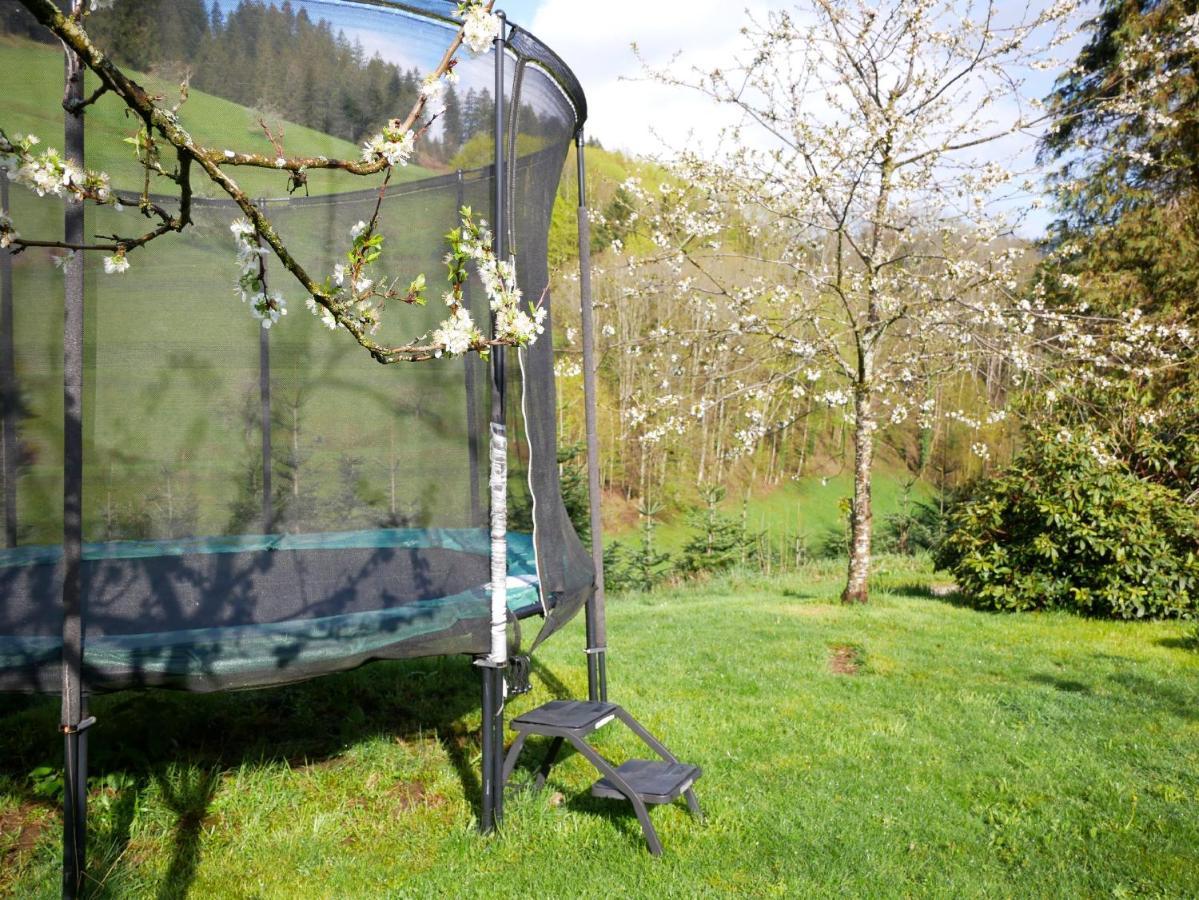 Buehlbauernhof Villa Bad Peterstal-Griesbach Luaran gambar