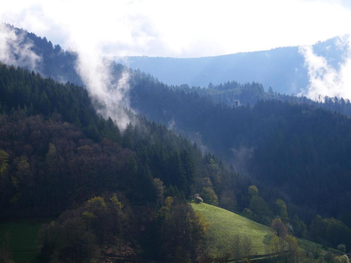 Buehlbauernhof Villa Bad Peterstal-Griesbach Luaran gambar