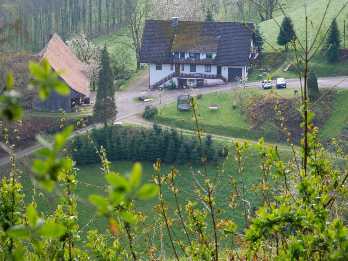 Buehlbauernhof Villa Bad Peterstal-Griesbach Luaran gambar